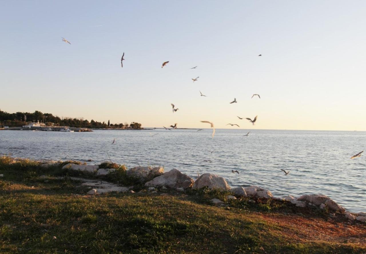 Apartments Zambratija With Sea View Kültér fotó